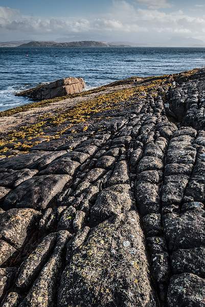 revealed at low tide_keith lynch_open.jpg - Monthly Print Competition 3 - Open